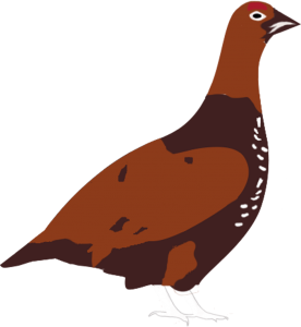 Shuttlesocks grouse design