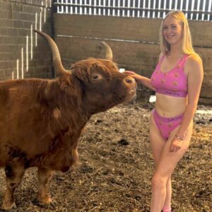 Pink women's underwear with highland cow design